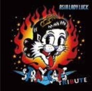 人気の春夏 ～asia Tribute Cats Stray Lady online HMV&BOOKS | Luck～ 洋楽