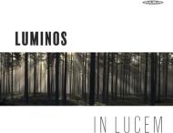 In Lucem: Hannuksela / Lasonpalo / Luminos