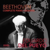 知る人ぞ知るベートーヴェン弾きのピアノ・ソナタ全集が復活 