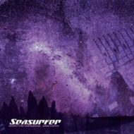 Seasurfer/Under The Milkyway Who Cares?