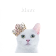 Aimer/Best Selection Blanc (B)(+dvd)(Ltd)