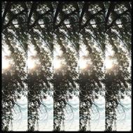 Dialectic Of Ignorance