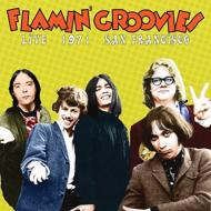 Flamin'Groovies/Live In San Francisco 1973