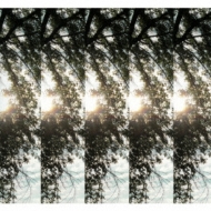 Dialectic Of Ignorance