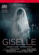 バレエ＆ダンス/Giselle(Adam)： Nunez Muntagirov The Royal Ballet
