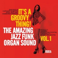 Various/It's A Groovy Thing! Vol.1 The Amazing Jazz Funk Organ Sound