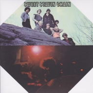 Sweet Stavin Chain/Sweet Stavin Chain (Pps)(Ltd)
