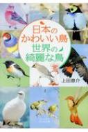 日本のかわいい鳥　世界の綺麗な鳥 ビジュアルだいわ文庫