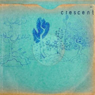 Crescent/Resin Pockets