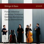 Strings & Bass: Willeitner Dickbauer(Vn)M.bartolomey(Vc)Breinschmid(Cb, B-g)
