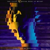 The Pains Of Being Pure At Heart/Echo Of Pleasure