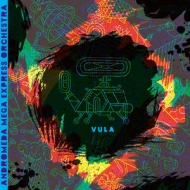 Andromeda Mega Express Orchestra/Vula