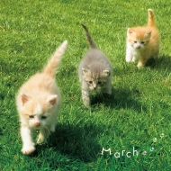ԥ졼/ޤ뤴!ޡ March Favorites