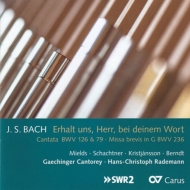 Хåϡ1685-1750/Cantata 79 126 Mass Bwv 236  Rademann / Gachinger Kantorei Stuttgart Mields Etc