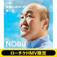 NOBU/܁AzɌč炭 ([`Phmv)(Lh)