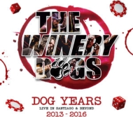 Dog Years: Live In Santiago & Beyond 2013-2016