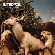Interpol/Our Love To Admire (10th Anniversary Edition)
