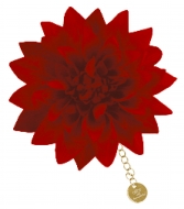 �`���[���t���_���A�w�A�A�N�Z�T���[