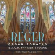 Organ Sonata, 1, 2, : Falcioni +fantasia & Fugue On B-a-c-h