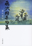 ���������W ���t����