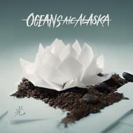 Oceans Ate Alaska/Hikari (International / Colored Vinyl)