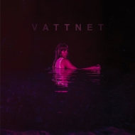 Vattnet