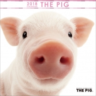 (~j)THE PIG / 2018NJ_[