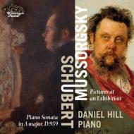 ムソルグスキー（1839-1881）/Pictures At An Exhibition： Daniel Hill(P) +schubert： Piano Sonata 20