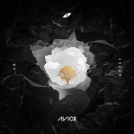 Avicii/Without You