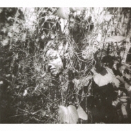 Now Is The Last Best Time