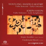 Violin Concerto, 1, Bassoon Concerto: Azzolini(Fg)Wezel(Vn)/ Il Capriccio +haydn