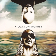 Common Wonder (2枚組アナログレコード)