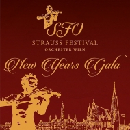 シュトラウス・ファミリー/New Year's Gala： Wien Strauss Festival O +schrammel