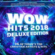 Various/Wow Hits 2018 (Dled)