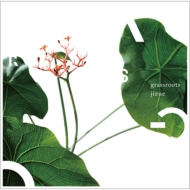 jizue/Grassroots