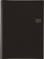 (452)�����O�_�C�A���[(�Z�p���[�g)2018�N�蒠