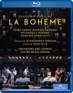 La Boheme : Olle, Gianandrea Noseda / Teatro Regio di Torino, Lungu, Berrugi, Besong, Cavalletti, etc (2016 Stereo)