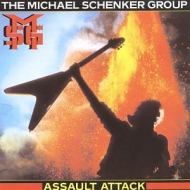 Assault Attack (180グラム重量盤レコード)
