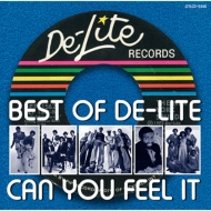 Various/Best Of De-lite Can You Feel It