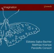 Imagination-music For Viola Da Bracchio: Sajka-bachler Pandolfis Consort