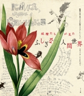 �d�������������ӂ����Ȑl�Ԑ��E ���@�̒r�Ō��������z�C���X�g���[�V����