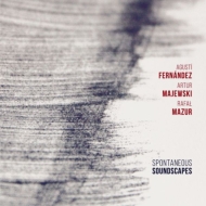 Agusti Fernandez / Artur Majewski / Rafal Mazur/Spontaneous Soundscapes