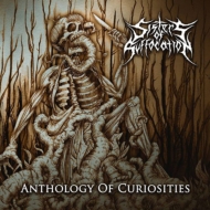 Anthology Of Curiosities