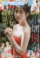 �����O�K���K�� 2017�N 11�� 17����