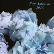 Various/Pop Ambient 2018