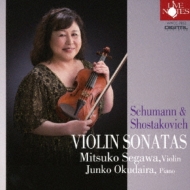 Violin Sonata, 1, : q(Vn)q(P)+shostakovich: Sonata, Dvorak