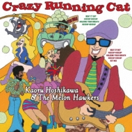 星川薫とザ・メロン・ホーカーズ/Crazy Running Cat