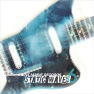 Various/Static Waves 6