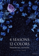 ץꥶӥ󥰥ե/4seasons 12colors Preserving Flowers