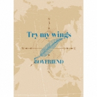 Try My Wings